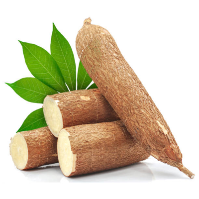 Manioc