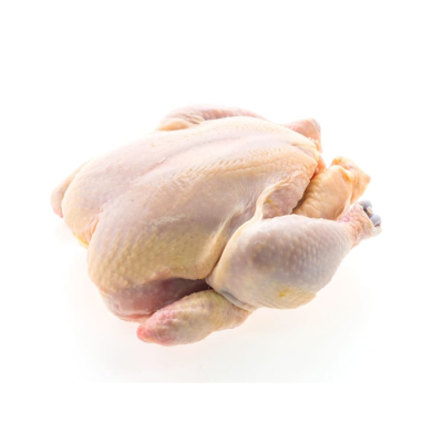 Poulet